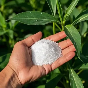 Nitrogen Fertilizer